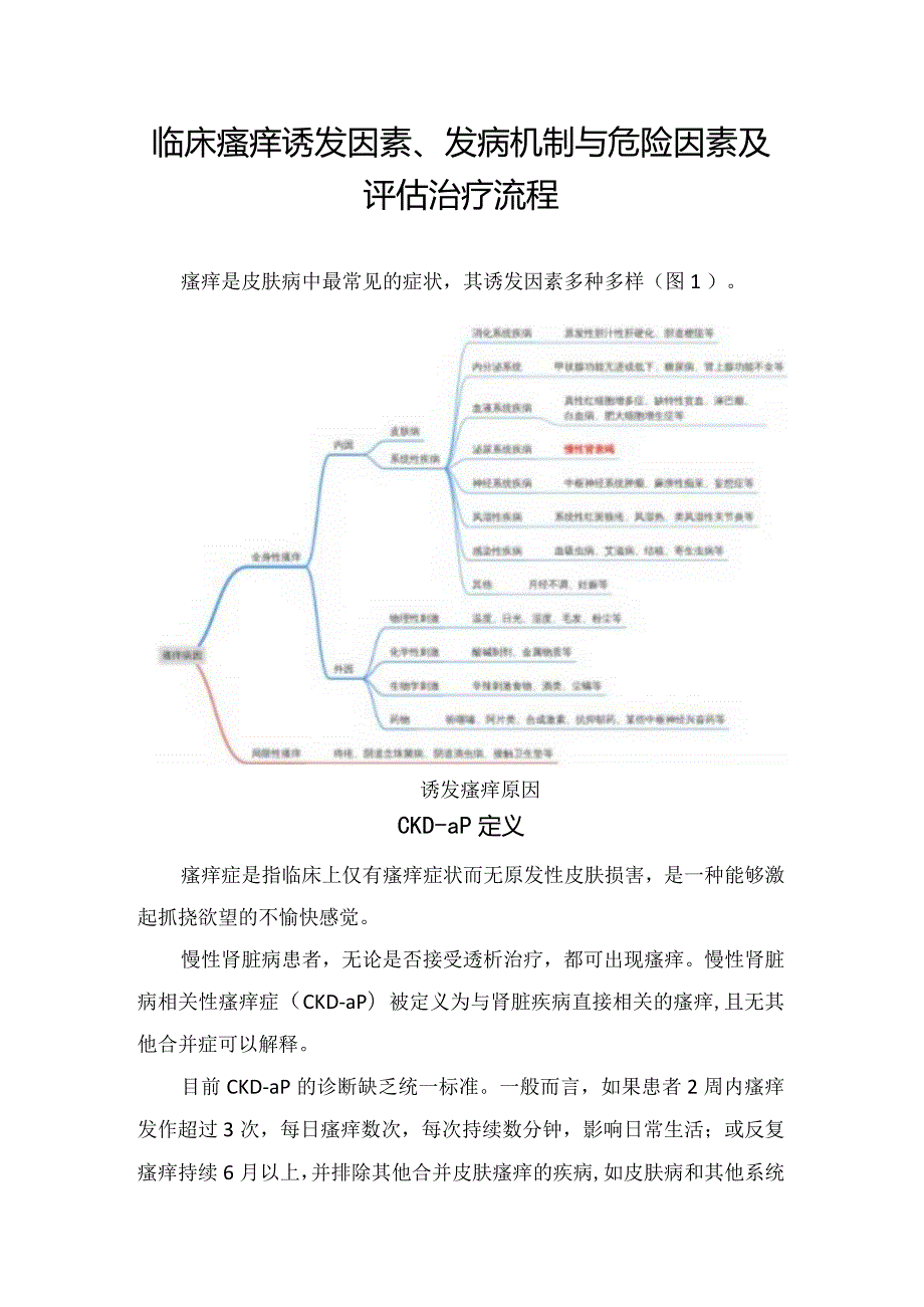 临床瘙痒诱发因素、发病机制与危险因素及评估治疗流程.docx_第1页