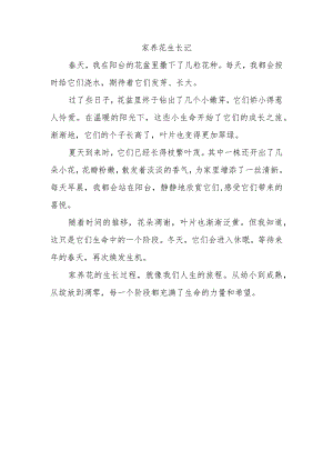 家养花生长过程作文300字.docx