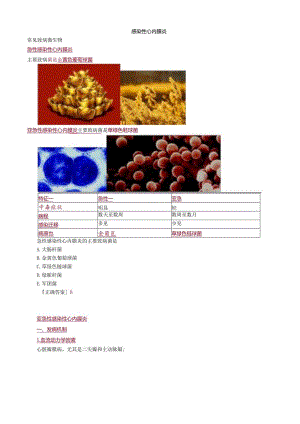 心血管内科主治医师资格笔试专业知识考点解析 (8)：感染性心内膜炎.docx