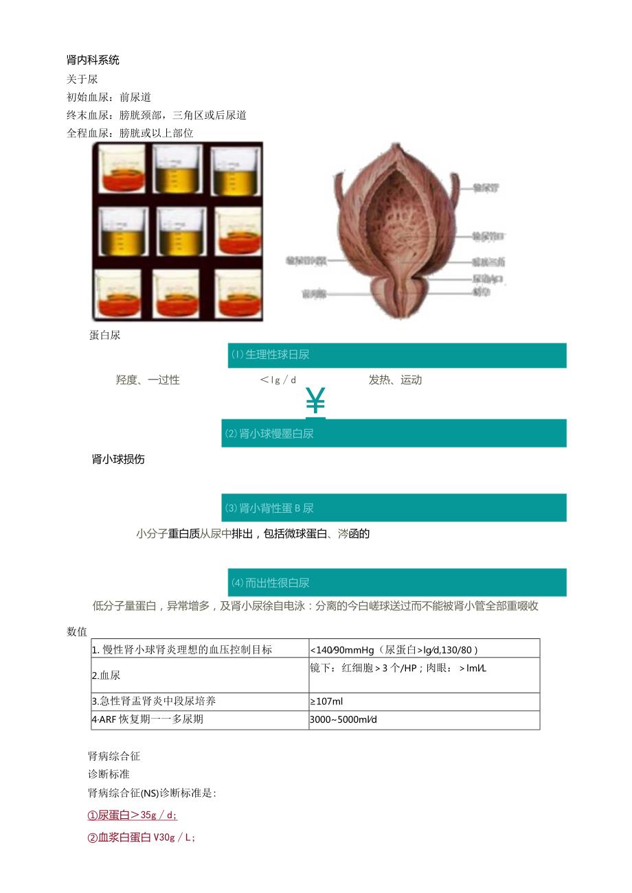 心血管内科主治医师资格笔试冲刺考点解析 (4)：相关专业知识.docx_第1页