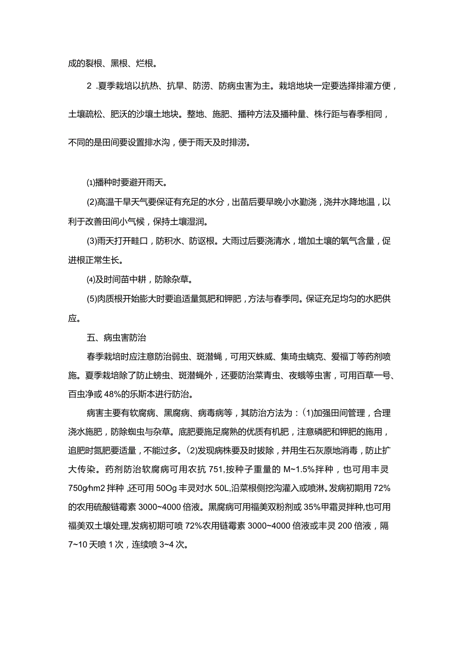 反季节白萝卜高效栽培技术.docx_第3页