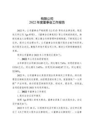 2022年度董事会工作报告.docx