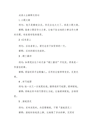 成语大全解释及例句.docx