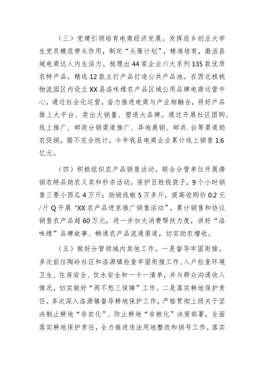 顶点帮扶挂职副县长2023年度个人述职报告.docx_第3页