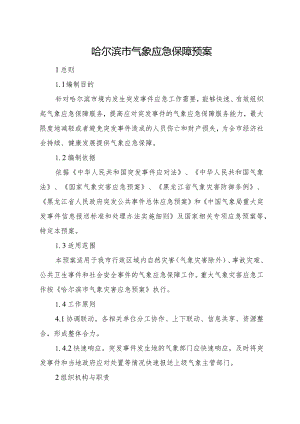 哈尔滨市气象应急保障预案.docx