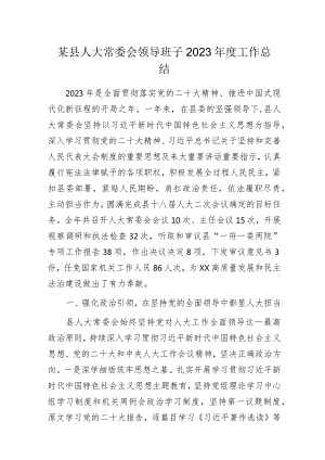 某县人大常委会领导班子2023年度工作总结.docx