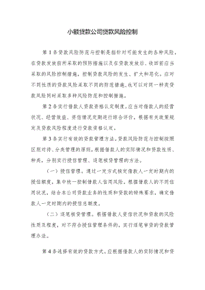 小额贷款公司贷款风险控制.docx