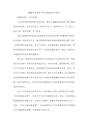 2023纪检监察干部主题教育发言材料.docx