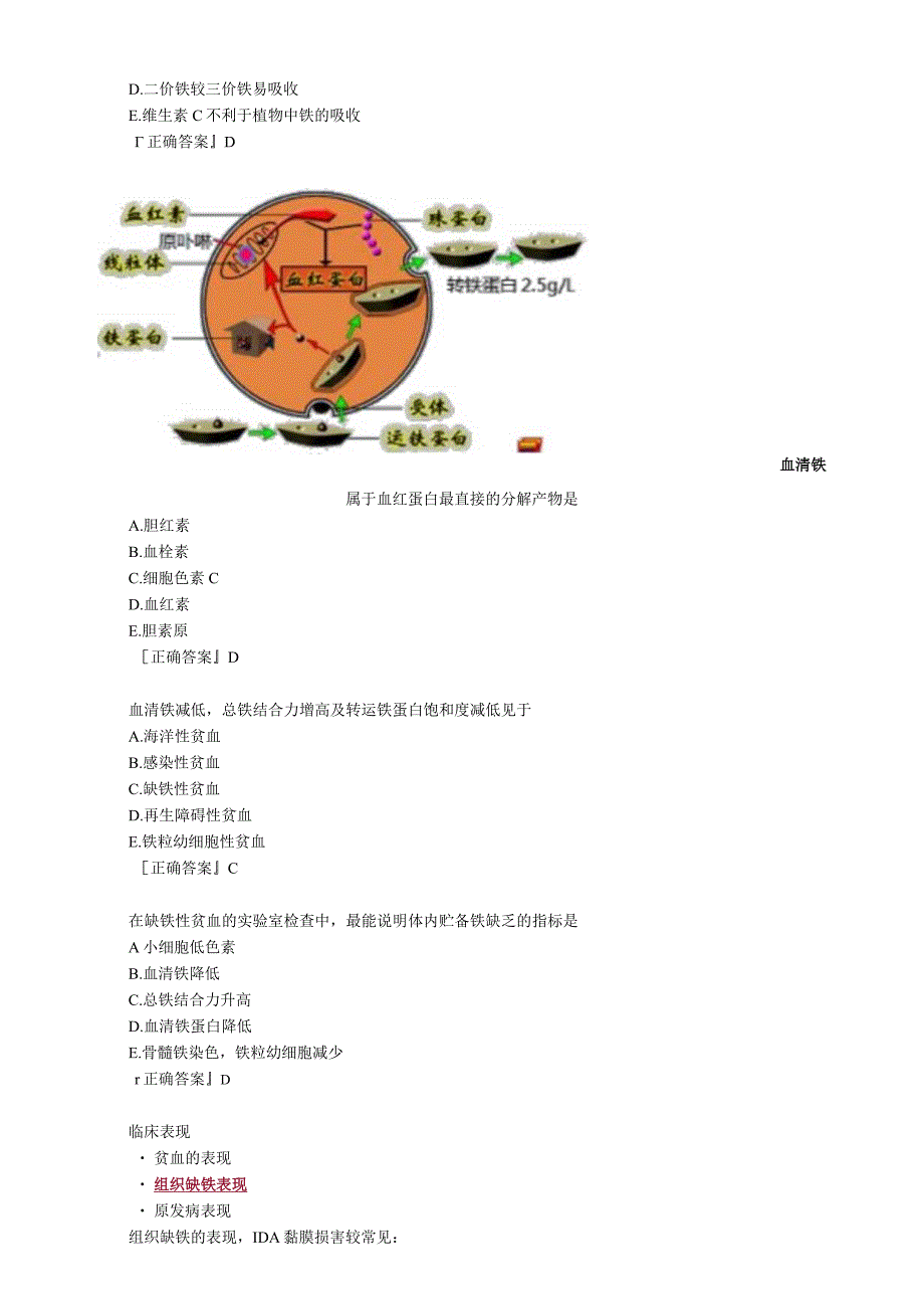 心血管内科主治医师资格笔试冲刺考点解析 (5)：相关专业知识.docx_第2页