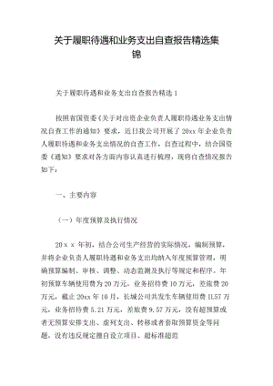 关于履职待遇和业务支出自查报告精选集锦.docx