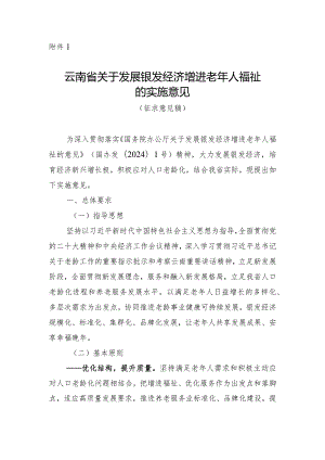 关于发展银发经济增进老年人福祉的实施意见（征求意见稿）.docx