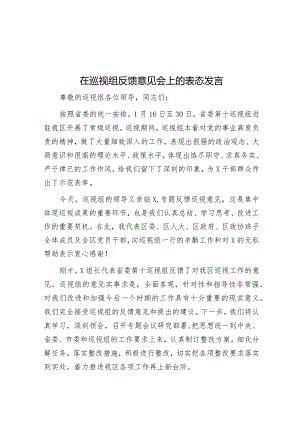 在巡视组反馈意见会上的表态发言&在市委全会暨市委经济工作会议上的讲话.docx