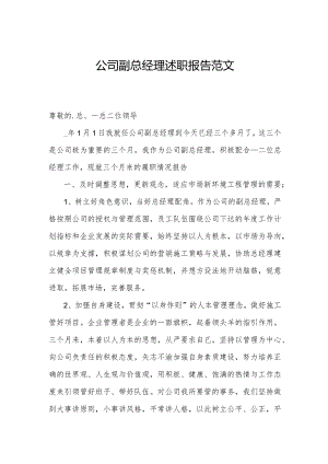 公司副总经理述职报告范文.docx