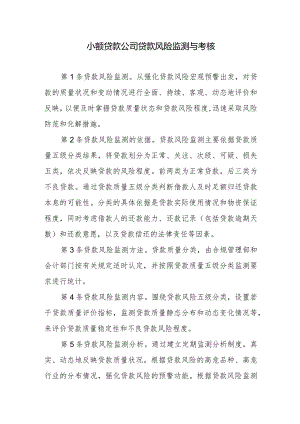 小额贷款公司贷款风险监测与考核.docx