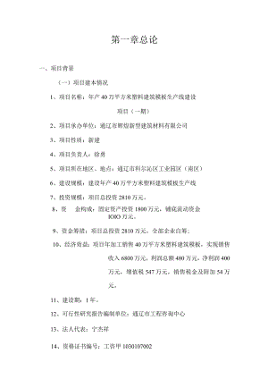 40万平方米年塑料建筑模板生产线建设项目可行性研究报告.docx