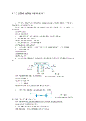 初中：3-7 自然界中的氧循环和碳循环2.docx