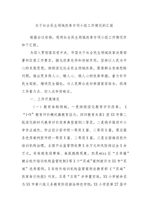 关于社会民生领域改革专项小组工作情况的汇报..docx