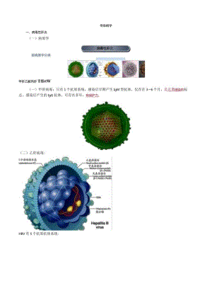 心血管内科主治医师资格笔试相关专业知识考点解析 (9)：传染病学.docx