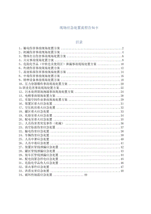 常见事故安全生产应急处置卡.docx