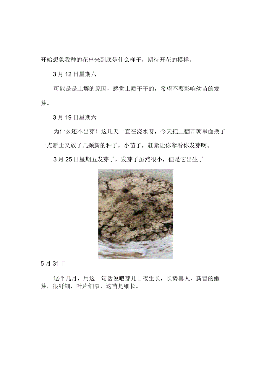 《教育学》作业——在我20岁的时候养了一枝花.docx_第2页