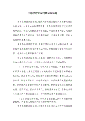 小额贷款公司贷款风险预测.docx