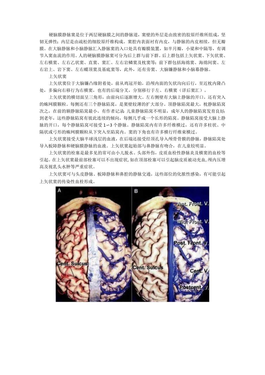 （解剖课件）硬脑膜静脉窦的解剖.docx_第1页