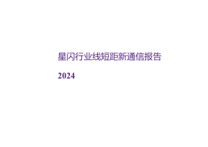 2024星闪行业线短距新通信报告.docx