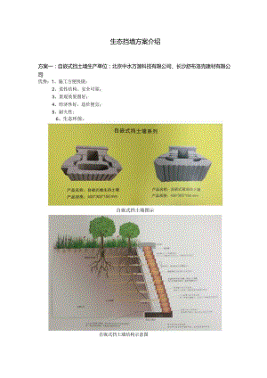 生态挡墙方案介绍.docx