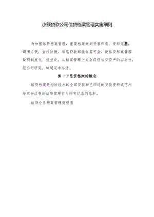 小额贷款公司信贷档案管理实施细则.docx