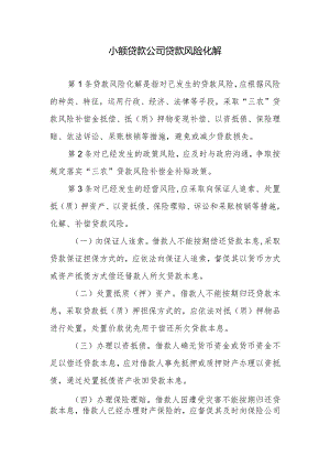 小额贷款公司贷款风险化解.docx