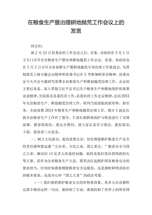 在粮食生产暨治理耕地抛荒工作会议上的发言.docx