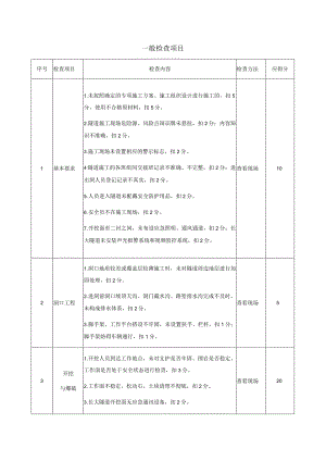 安全生产隧道开挖作业一般检查项目.docx