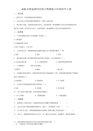 粤教版科学六年级上册4-21自然的选择练习.docx