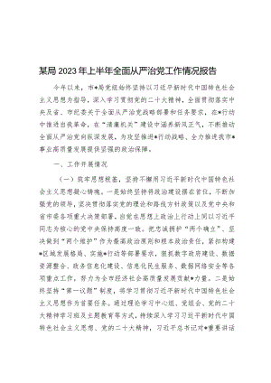 某局2023年上半年全面从严治党工作情况报告&研讨发言：要持之以恒推进全面从严治党.docx