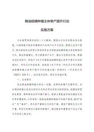 粮油规模种植主体单产提升行动方案.docx