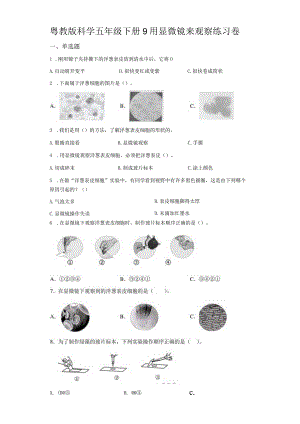 粤教版科学五年级下册9用显微镜来观察练习.docx