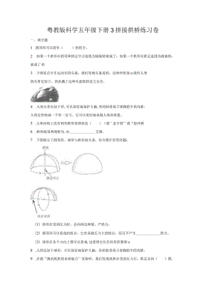 粤教版科学五年级下册3拼接拱桥练习.docx