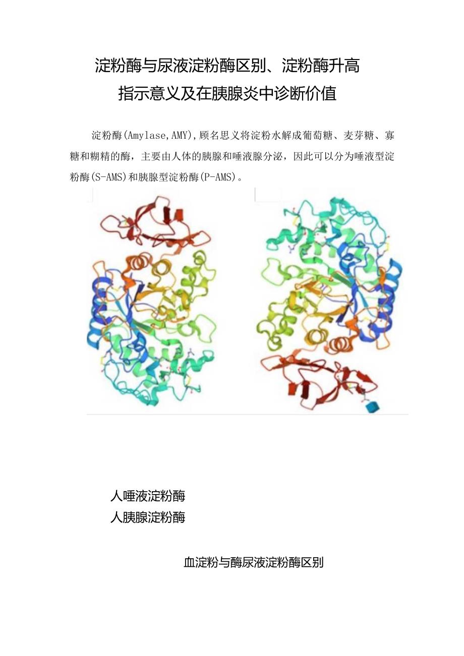 淀粉酶与尿液淀粉酶区别、淀粉酶升高指示意义及在胰腺炎中诊断价值.docx_第1页