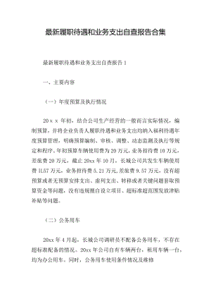 最新履职待遇和业务支出自查报告合集.docx