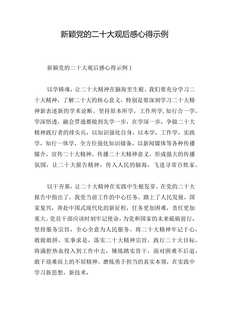 新颖党的二十大观后感心得示例.docx_第1页