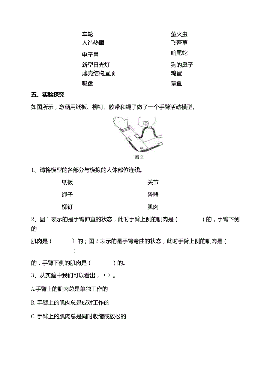 苏教版科学五下8我们来仿生试题（含答案解析）.docx_第2页