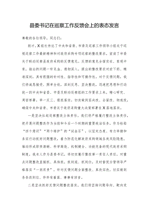 表态发言：巡察工作反馈会（县委书记）.docx