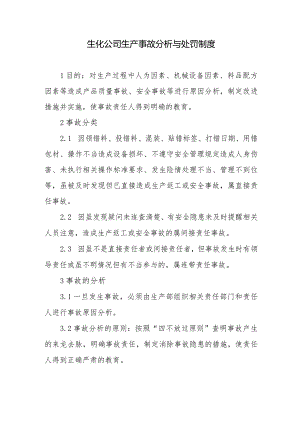 生化公司生产事故分析与处罚制度.docx