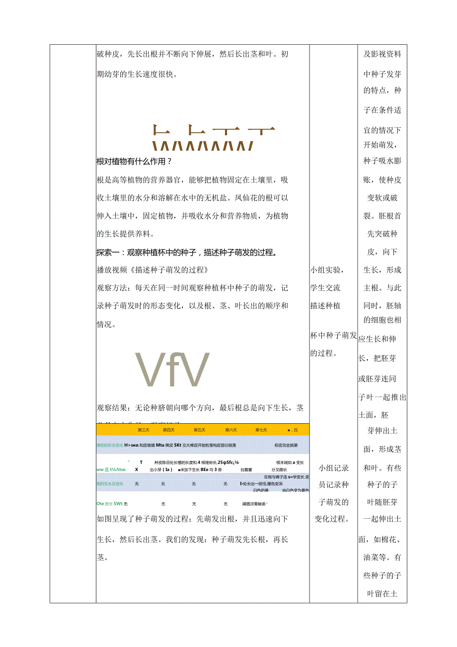 新教科版四年级下册科学1.3《种子长出了根》教案（定稿）.docx_第2页