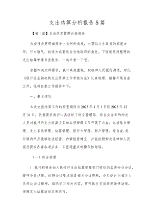 支付结算分析报告5篇.docx