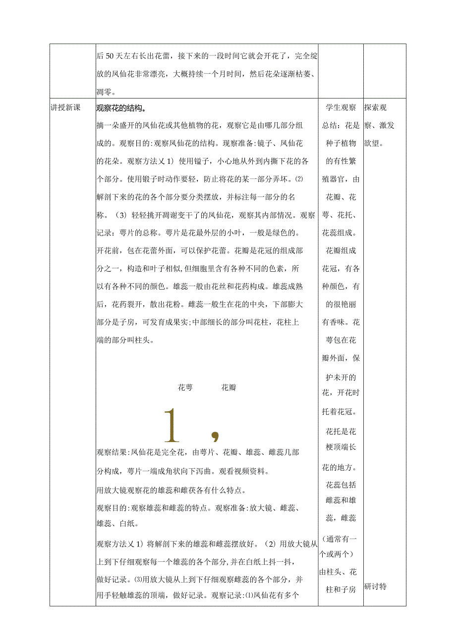 新教科版四年级下册科学1.5《凤仙花开花了》教案（定稿）.docx_第2页