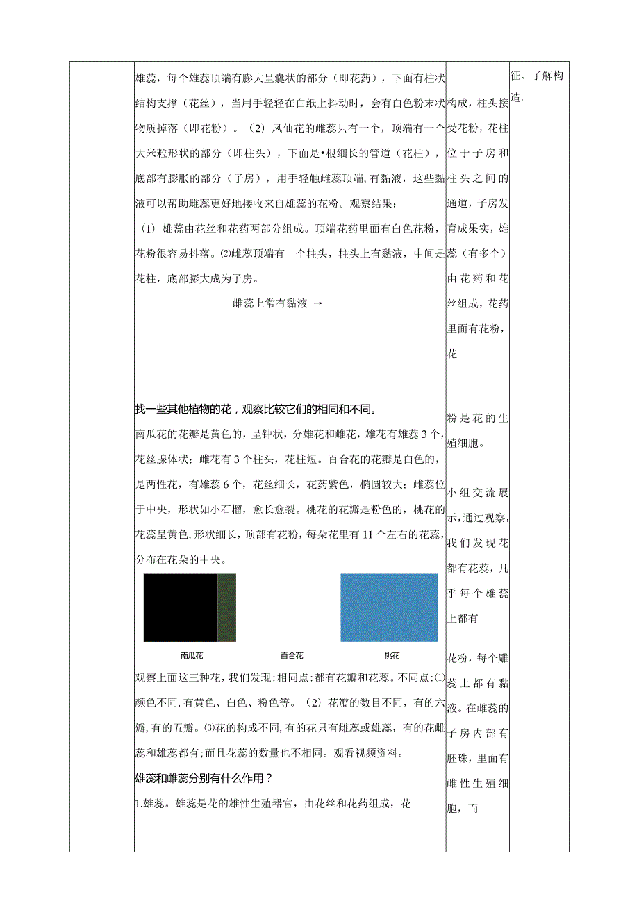 新教科版四年级下册科学1.5《凤仙花开花了》教案（定稿）.docx_第3页