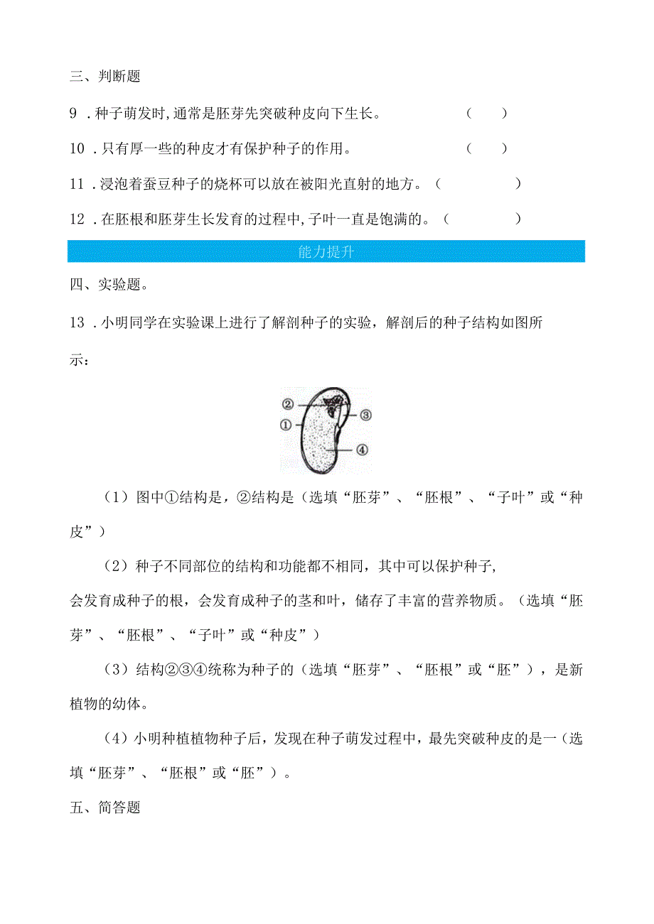 第1课种子里孕育着新生命（分层练习）四年级科学下册（教科版）.docx_第2页