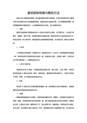 番茄搭架绑蔓与整枝方法.docx