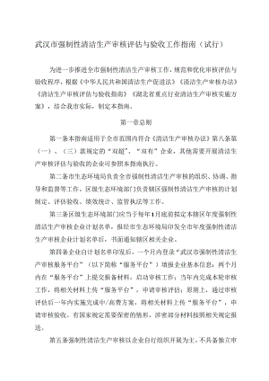 武汉市强制性清洁生产审核评估与验收工作指南（试行）.docx